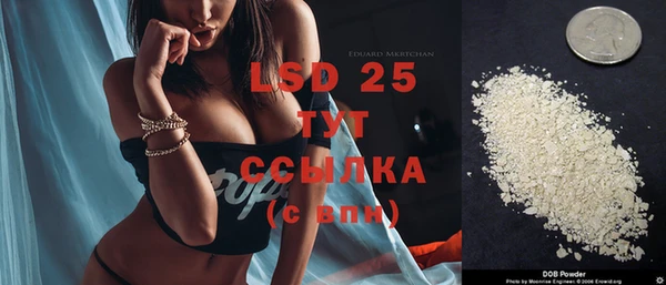спиды Пересвет