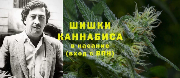 спиды Пересвет