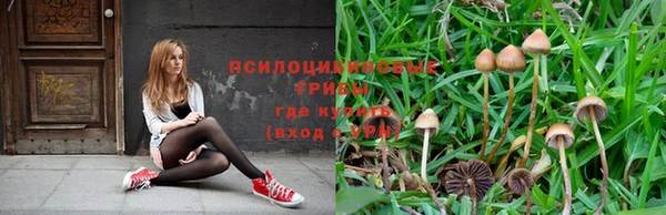 СК Покачи