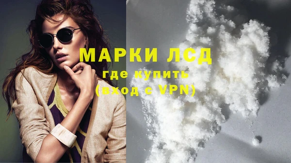 apvp Данков