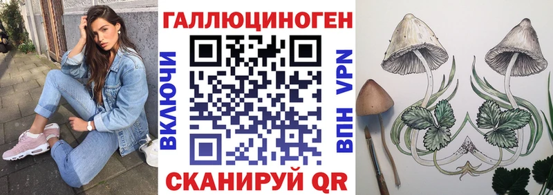 наркота  Коряжма  Галлюциногенные грибы ЛСД 