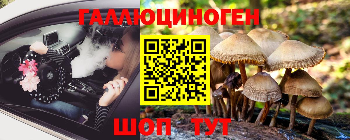 Галлюциногенные грибы MAGIC MUSHROOMS Коряжма