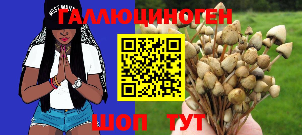 Галлюциногенные грибы Psilocybe  Коряжма  Псилоцибиновые грибы ЛСД 