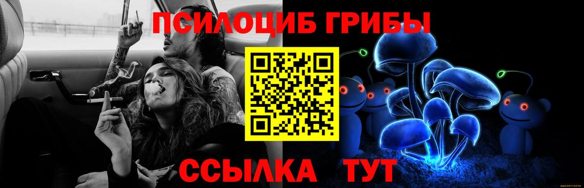 Alpha PVP Коряжма